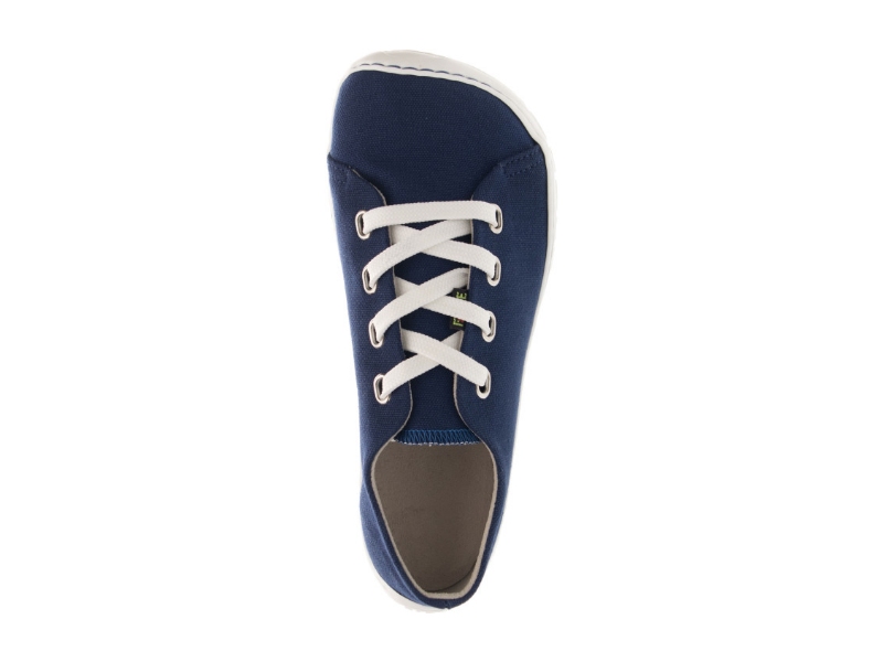 Fare_a5311401-blue 2